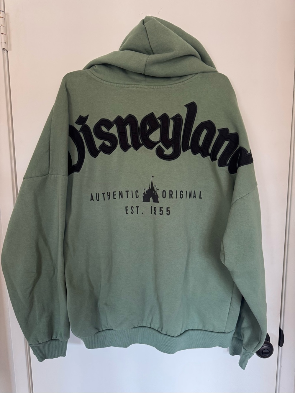 Disney Sage Green Hoodie - Picture 7 of 13